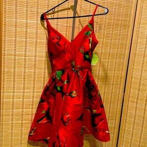 Floral rose pattern dress